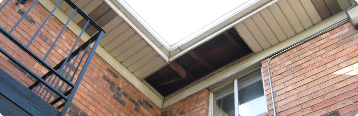 Siding Contractors Banner Image